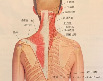 僧坊筋