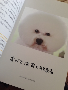 ワンチャンス２