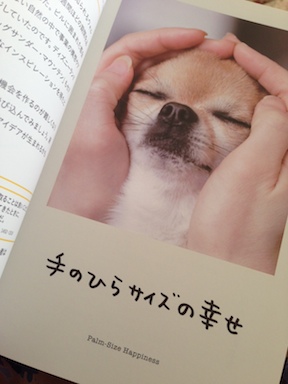 ワンチャンス１