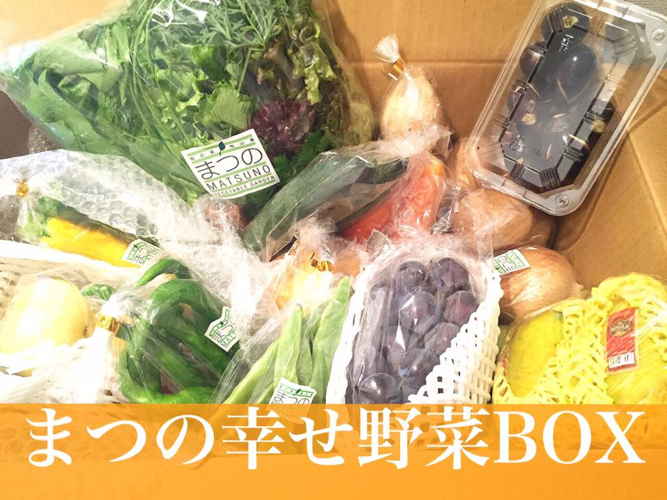 まつの幸せ野菜BOX