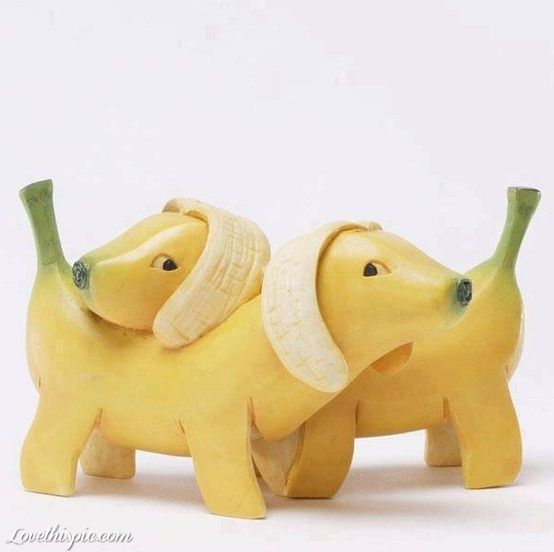 バナナ犬