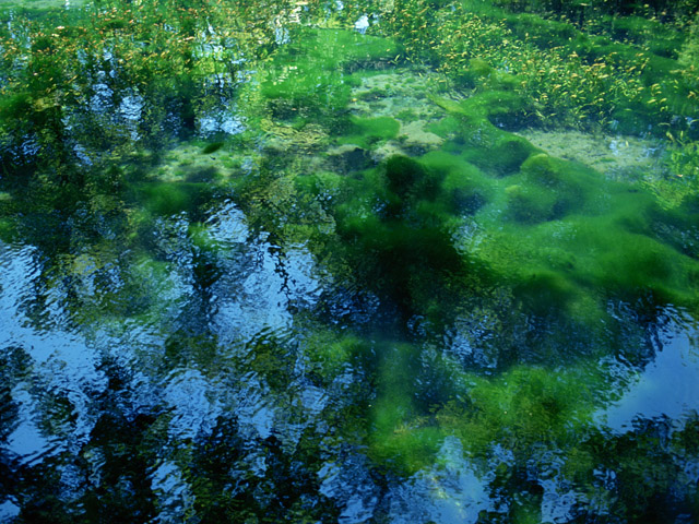 おだやかな水面