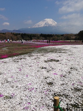 富士山