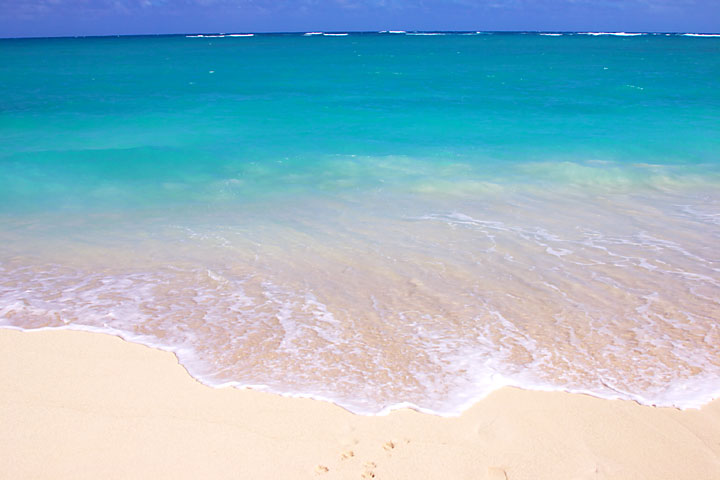 ハワイの海