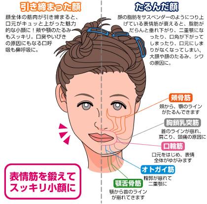 口呼吸だと 顔が崩れますよ