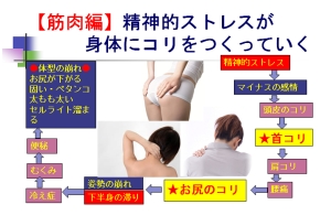 お尻コリほぐしから逆算して 首コリ解消 無料体験会