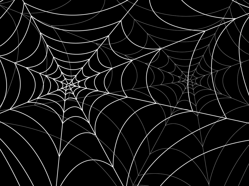 すべてのイラスト画像 ベスト50 かっこいい 蜘蛛 の 巣 イラスト