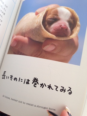 ワンチャンス３