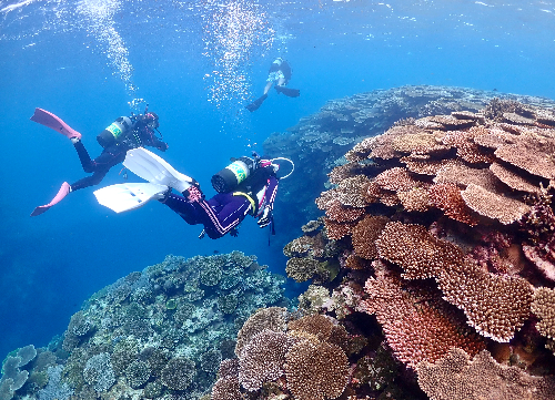 P8230041.jpg