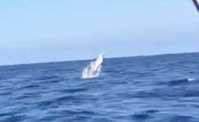 スクリーンショット 2018-02-21 4.27.56.png