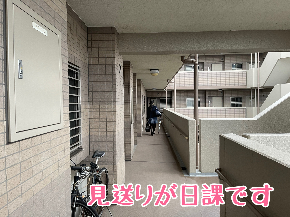 7697D316-50A1-4275-920C-FA88391AA9F5.jpg