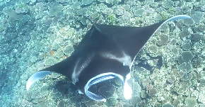 スクリーンショット 2021-09-28 5.48.53.png