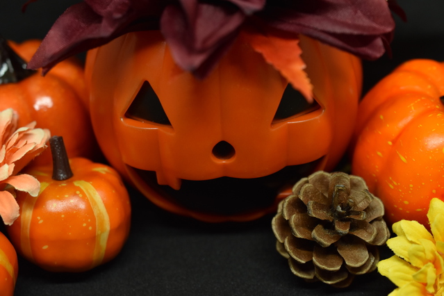 秋かぼちゃハロウィン.jpg