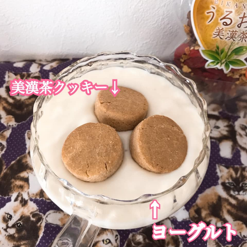うるおい美漢茶クッキーヨーグルト.jpg