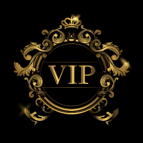 9-96150_vip-.jpg