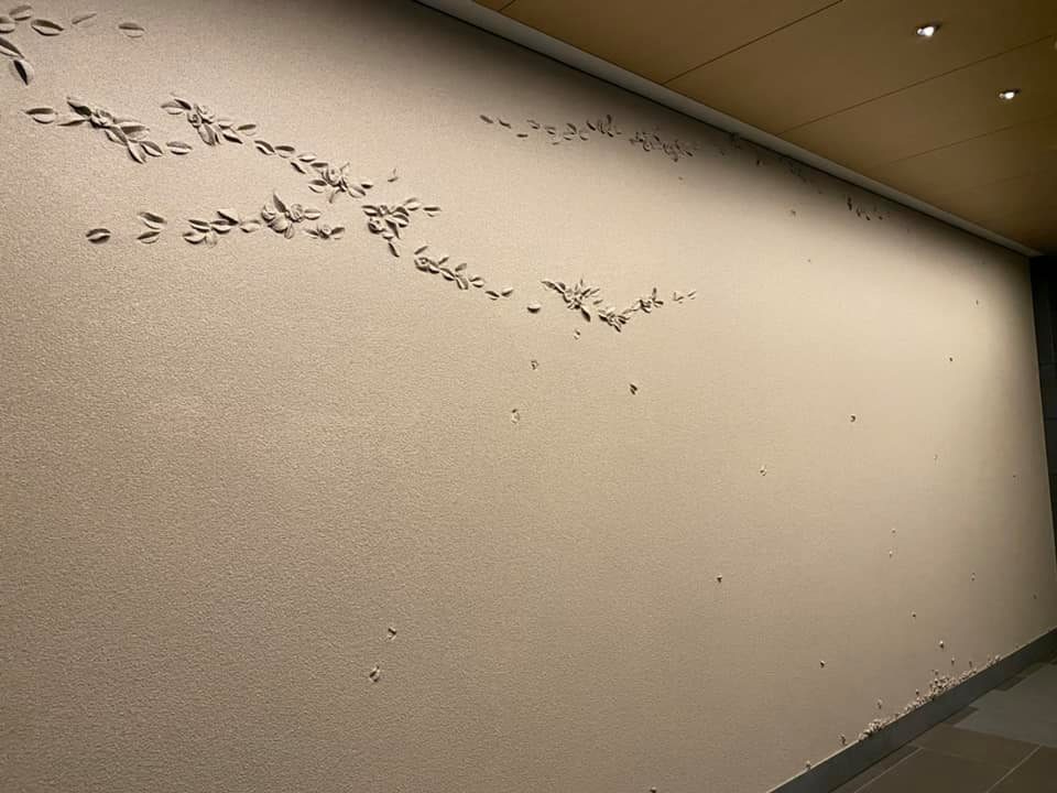 121789892_3561509157228355_6964836625236713472_n.jpg
