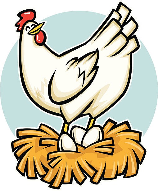 7e9efdc30532fac9d66f52bf084ca522_royalty-free-chicken-laying-egg-clip-art-vector-images-hen-laying-eggs-clipart_509-612.jpeg