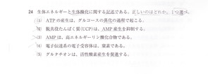 2周見直し