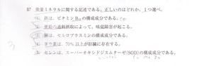 第29回87