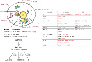 無料模試解説.png