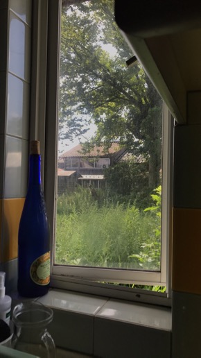 キッチン窓