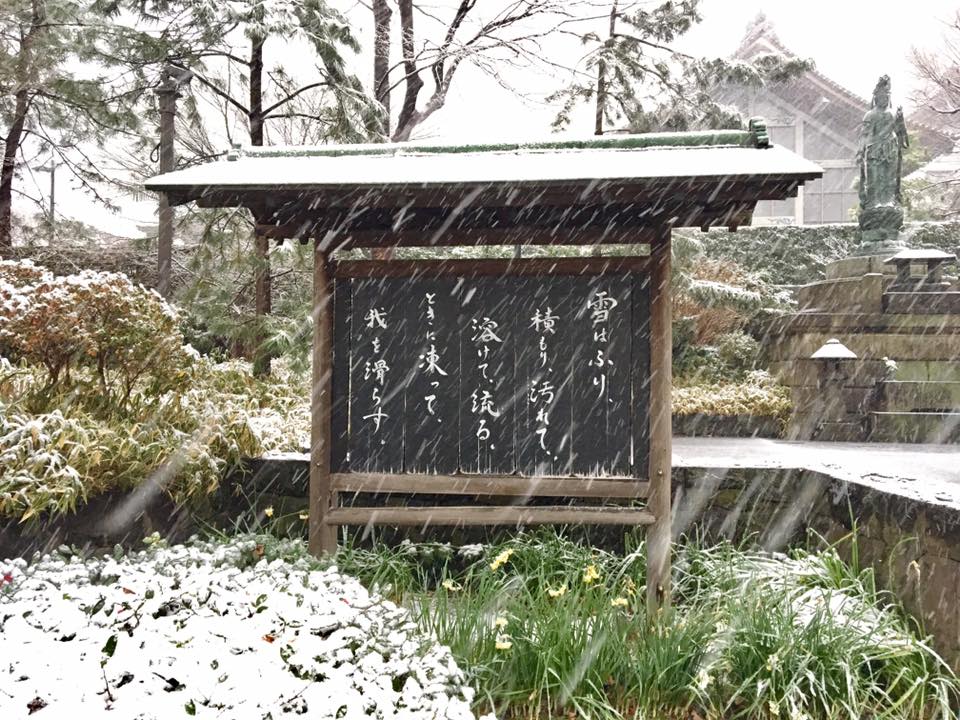 寺の雪