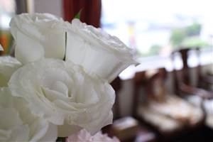 20150322105848 (10).jpg