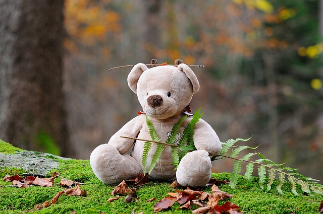 teddy-bear-524251_640.jpg