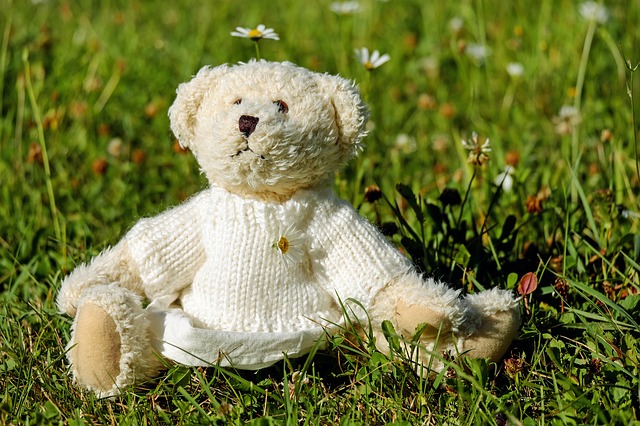 teddy-1623436_640.jpg