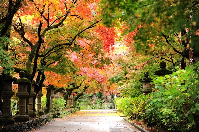 autumn-2791644_640.jpg