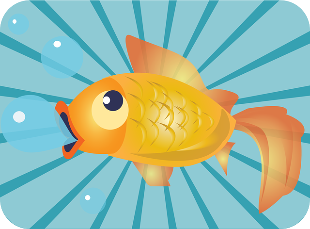 fish-158184_640.png