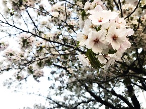 9D4B1A48-ABEF-4AD3-838F-4DC75D84E4A9.JPG