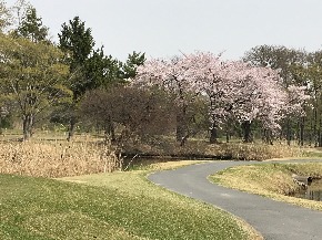 IMG_5622.JPG