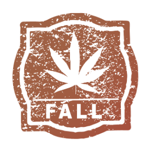 0-02.png