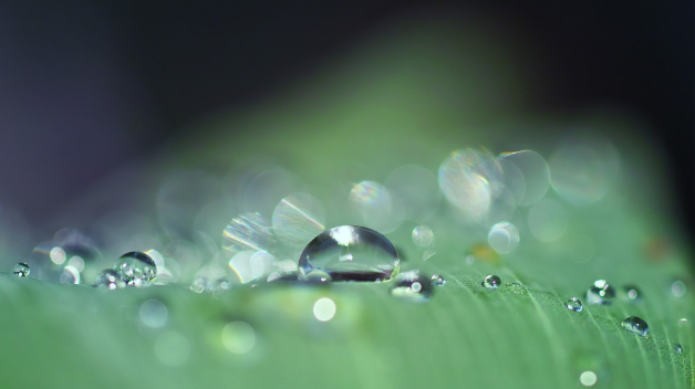 drop-of-water-3671613_1920.jpg