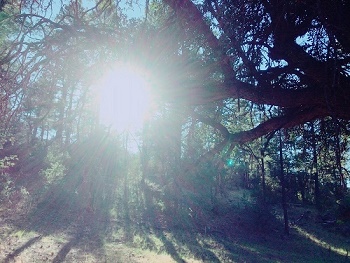 20170916_170920_0016.jpg