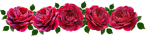flowers-4582844_1920.png
