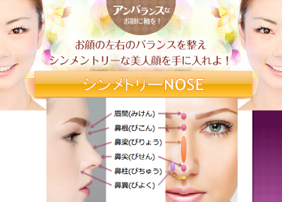 noseカバー.png