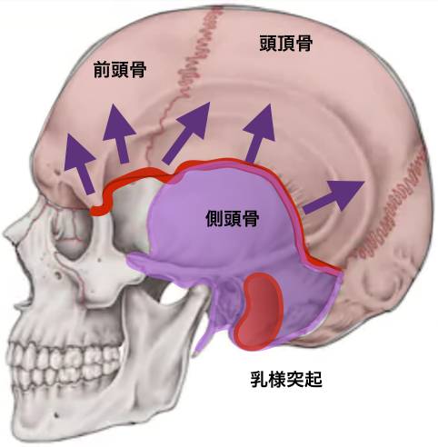 天蓋骨解放の方向.png