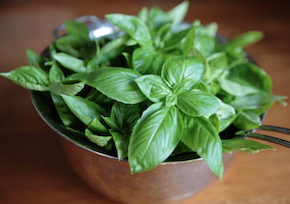 バジル