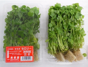 スクリーンショット 2016-09-05 7.31.51.png