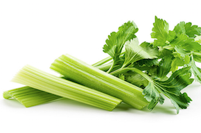 スクリーンショット 2016-09-05 7.26.14.png