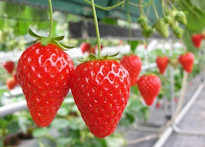 スクリーンショット 2016-09-06 21.31.48.png