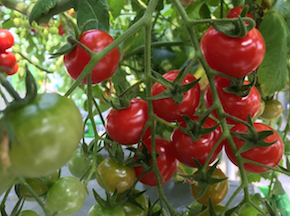 スクリーンショット 2016-09-06 21.32.18.png