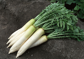 スクリーンショット 2016-09-09 19.06.11.png