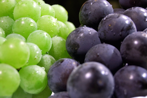 スクリーンショット 2016-09-10 22.09.56.png