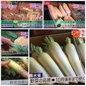 14689084_1078591888922165_270095951_o (1).jpg