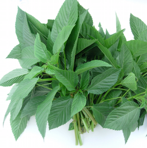 スクリーンショット 2016-10-16 22.06.03.png