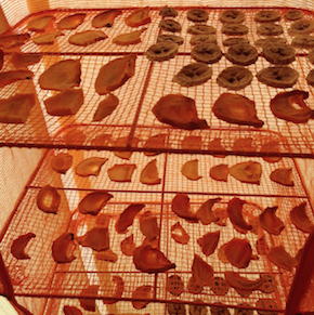 スクリーンショット 2016-11-02 6.57.41.png