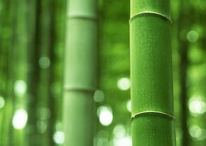 スクリーンショット 2017-03-29 13.32.33.png